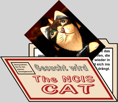 Wo ist die NCIS Katze?