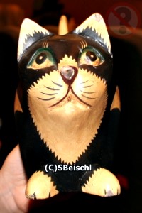 NCIS Katze - Foto von S. Beischl