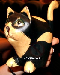 Die NCIS Katze - Bild von S. Beischl